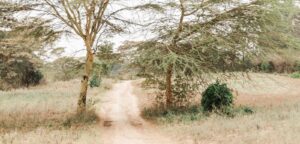 naomi's village name and location